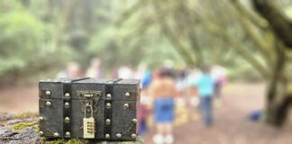 La Fundación Acuorum y el Cabildo de La Gomera invitan a descubrir los secretos de la laurisilva con la actividad familiar ‘El Tesoro del Garajonay’
