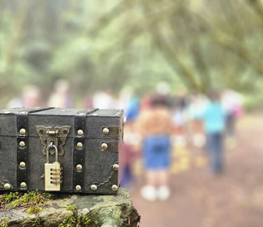 La Fundación Acuorum y el Cabildo de La Gomera invitan a descubrir los secretos de la laurisilva con la actividad familiar ‘El Tesoro del Garajonay’
