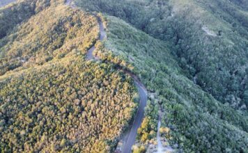 El Cabildo informa de cortes de tráfico en el acceso a la costa de Vallehermoso y en la vía Juego de Bolas–Laguna Grande