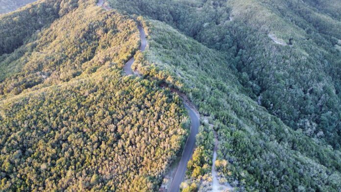 Imagen aérea de la carretera entre Juego de Bolas a La Laguna Grande