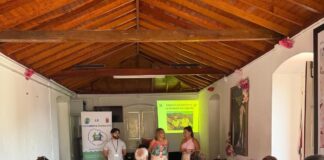 Las actividades de ‘La Gomera Acompaña’ llegan este viernes a Alajeró