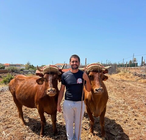 La emblemática Quesería El Bregador de La Gomera apuesta por la recuperación de la vaca de raza canaria