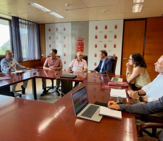 La Oficina de Proyectos Estratégicos del Gobierno de Canarias y el Cabildo de La Gomera exploran vías para impulsar nuevas iniciativas estratégicas en la isla