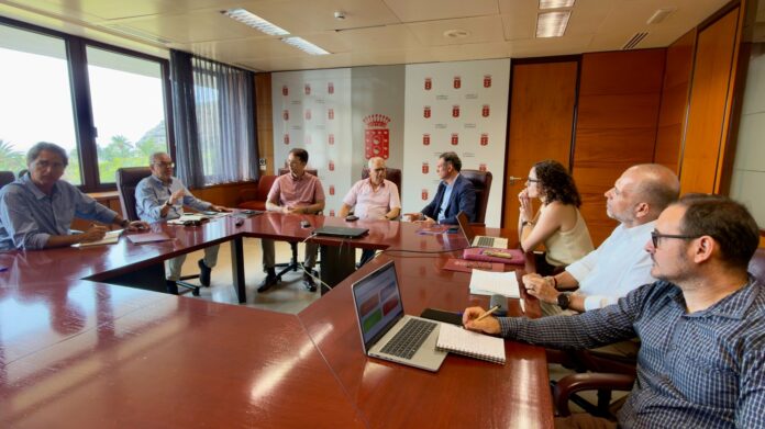 Reunión en el Cabildo de La Gomera estratégicos