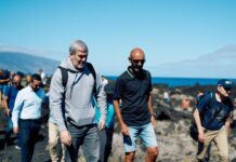 El Gobierno analizará en La Gomera técnicas innovadoras para eliminar el rabo de gato