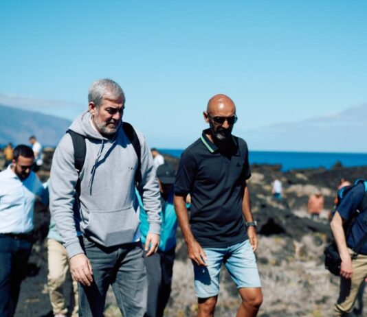 El Gobierno analizará en La Gomera técnicas innovadoras para eliminar el rabo de gato