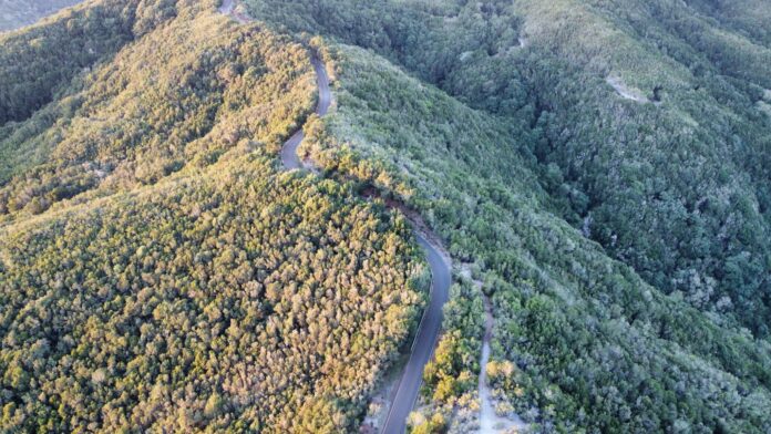 Tramo de la carretera de Juego de Bolas - Laguna Grande