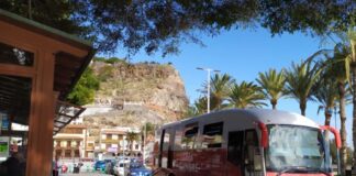Hemodonación y Hemoterapia inicia su campaña de verano de donación de sangre en La Gomera