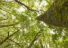 Anaga Biofest completa en La Gomera su primer ciclo de hermanamientos con las siete Reservas de la Biosfera de Canarias