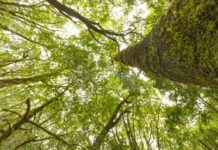 Anaga Biofest completa en La Gomera su primer ciclo de hermanamientos con las siete Reservas de la Biosfera de Canarias