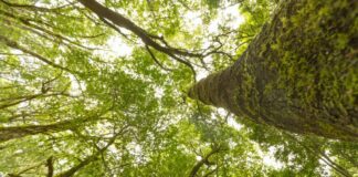 Anaga Biofest completa en La Gomera su primer ciclo de hermanamientos con las siete Reservas de la Biosfera de Canarias