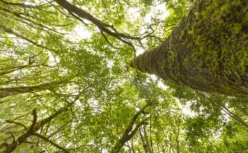 Anaga Biofest completa en La Gomera su primer ciclo de hermanamientos con las siete Reservas de la Biosfera de Canarias