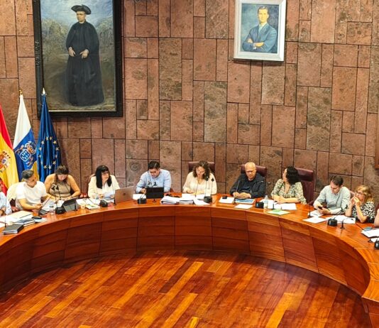 El Cabildo aprueba de manera definitiva el II Plan Insular sobre Adicciones de La Gomera