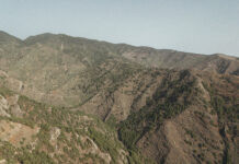 El Cabildo de La Gomera reforzará la biodiversidad y la prevención de incendios en Majona