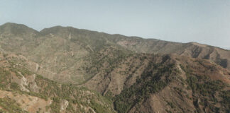 El Cabildo de La Gomera reforzará la biodiversidad y la prevención de incendios en Majona