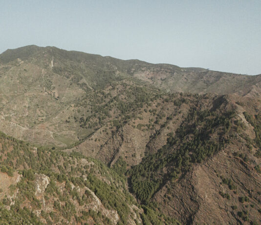 El Cabildo de La Gomera reforzará la biodiversidad y la prevención de incendios en Majona