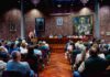 El Cabildo pone en marcha un programa para la protección forestal, gestión de material combustible y biodiversidad