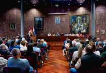 El Cabildo pone en marcha un programa para la protección forestal, gestión de material combustible y biodiversidad