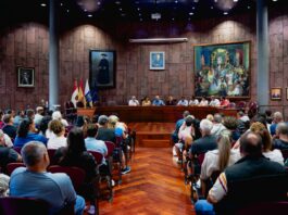 El Cabildo pone en marcha un programa para la protección forestal, gestión de material combustible y biodiversidad