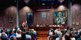 El Cabildo pone en marcha un programa para la protección forestal, gestión de material combustible y biodiversidad