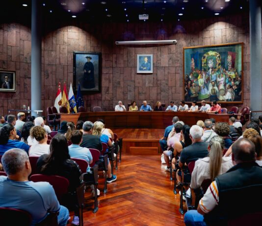 El Cabildo pone en marcha un programa para la protección forestal, gestión de material combustible y biodiversidad