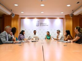 Gobierno y FECAM impulsan unas jornadas para acercar la Estrategia Canaria de Reto Demográfico a los municipios
