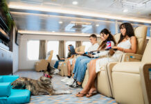 Baleària Canarias celebra su Pet Week con un concurso en redes sociales y experiencias y obsequios a bordo