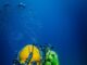 Ejercicios de la Unidad de Buceo de Canarias (UBUCANAR) de la Armada en la isla de La Gomera