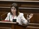 Carmen Hernández exige al Gobierno de CC y el PP que entierre de forma definitiva el puerto de Fonsalía