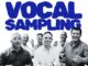 San Sebastián de La Gomera finaliza la celebración de las Fiestas de Octubre con el concierto de Vocal Sampling