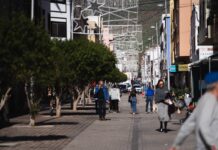 El Cabildo abre el 3 de noviembre el plazo de adhesión de comercios al Bono Consumo Navidad 2026